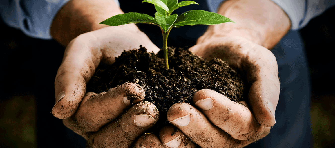 آوان بذر آسمان